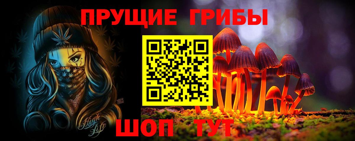 Галлюциногенные грибы мицелий Арсеньев